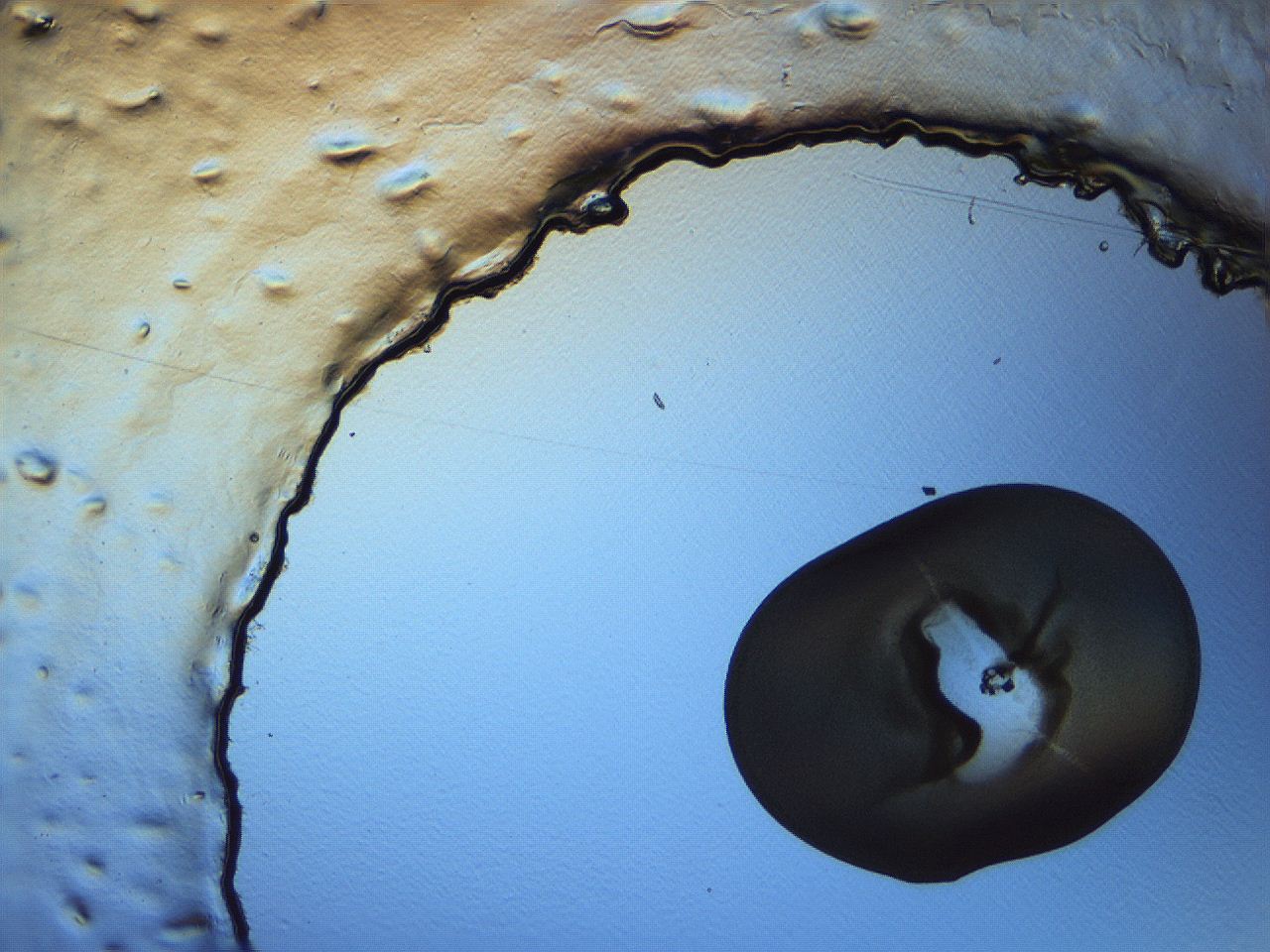 062i_C1_ImagerDefaults_3.jpg