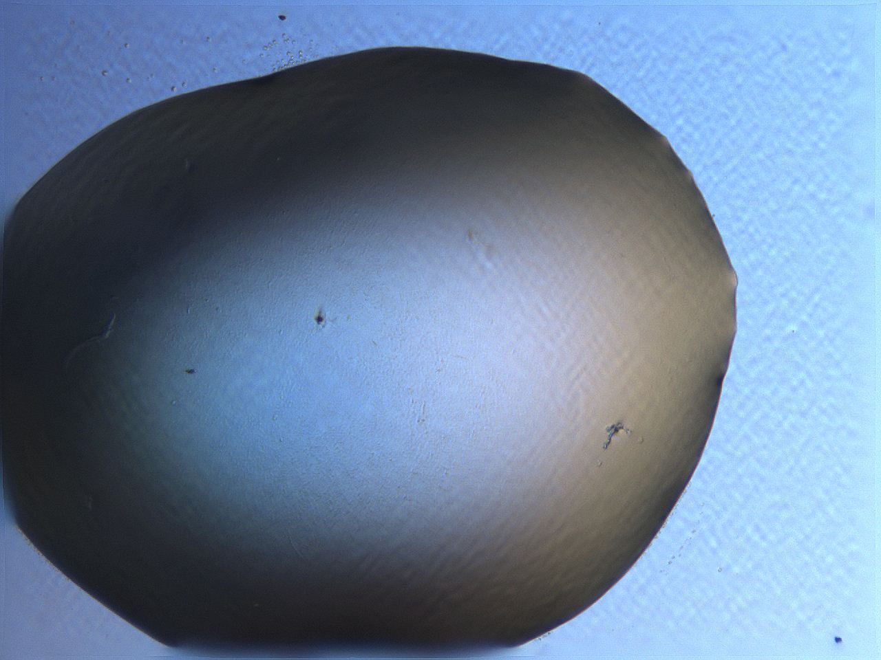 062i_A7_ImagerDefaults_0.jpg