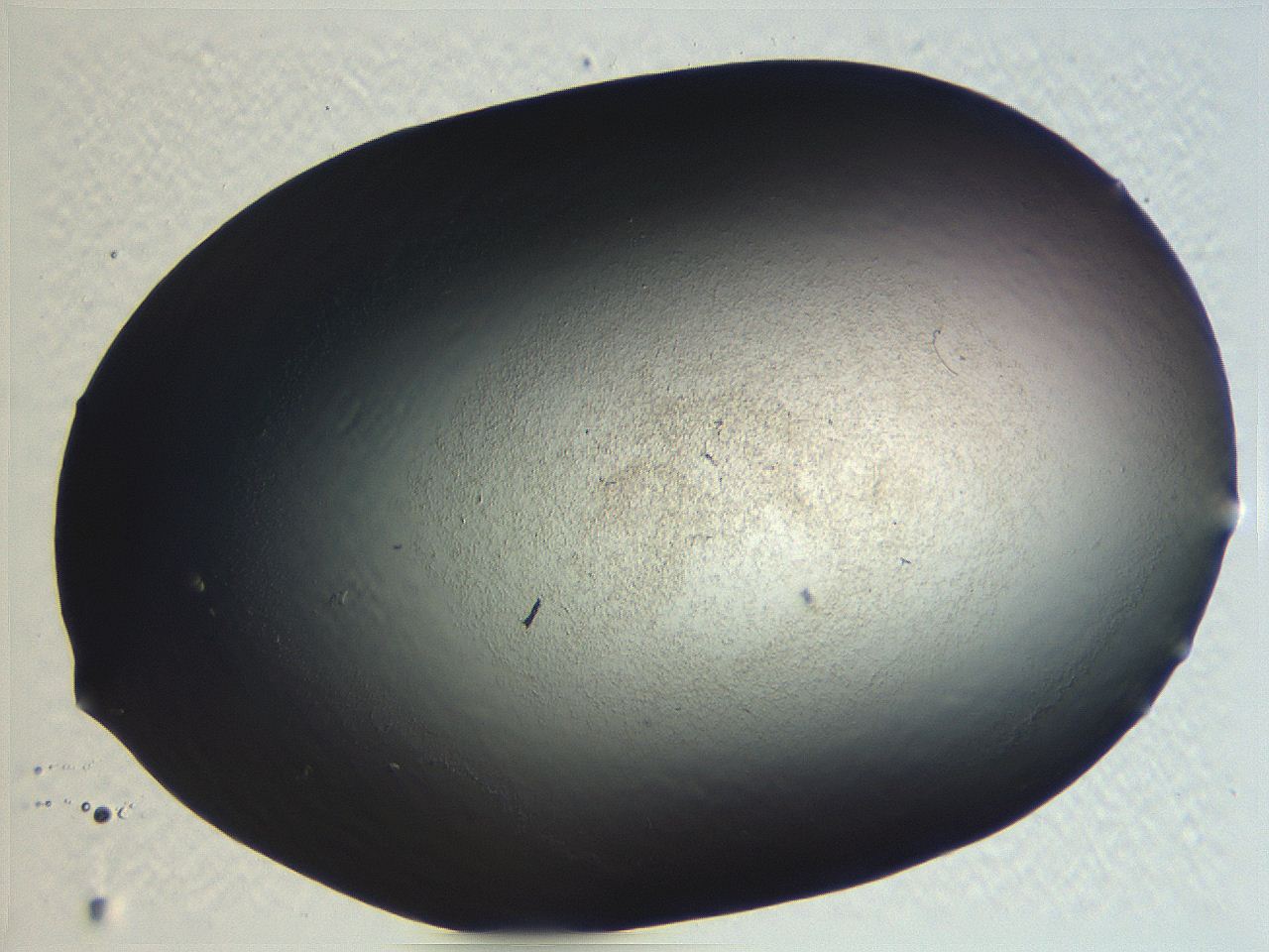 062i_C8_ImagerDefaults_3.jpg