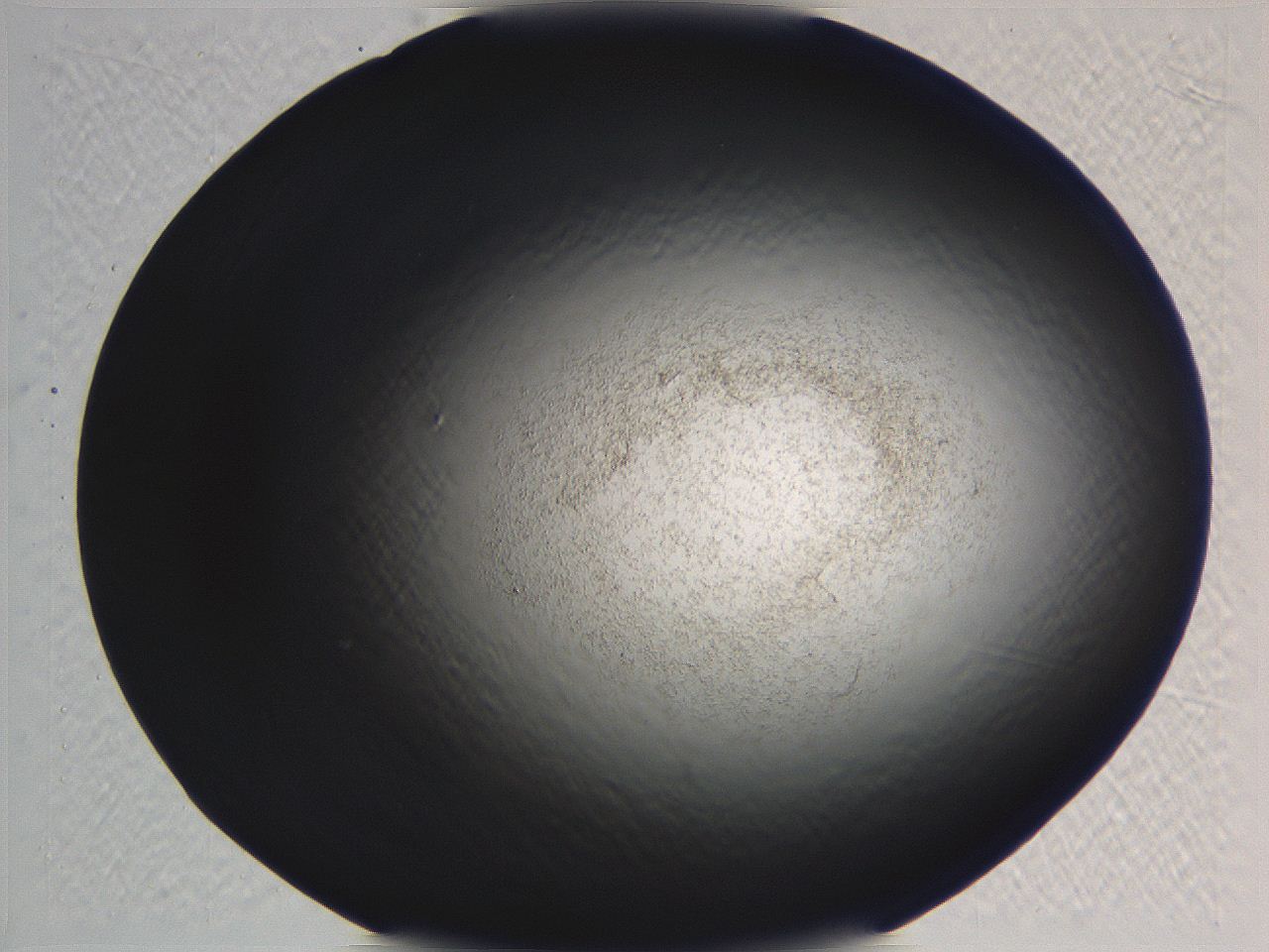 062i_C11_ImagerDefaults_3.jpg
