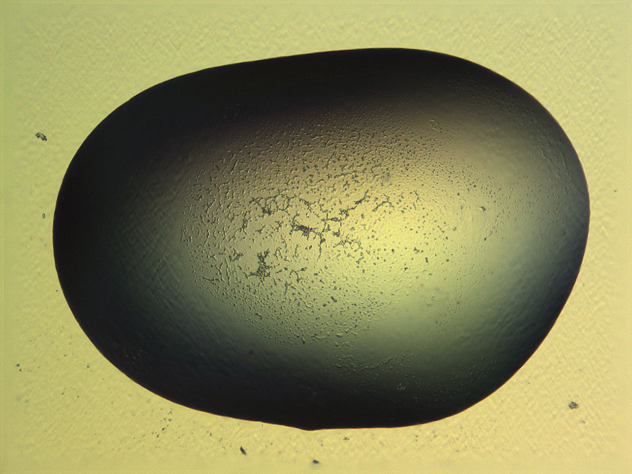 062i_D1_ImagerDefaults_3.jpg