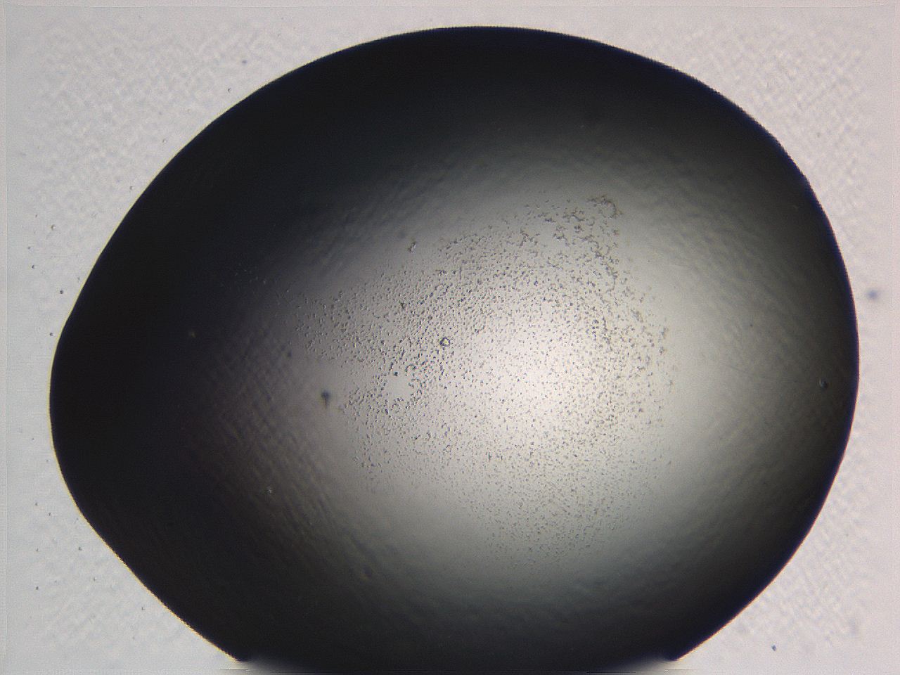 062i_D6_ImagerDefaults_3.jpg