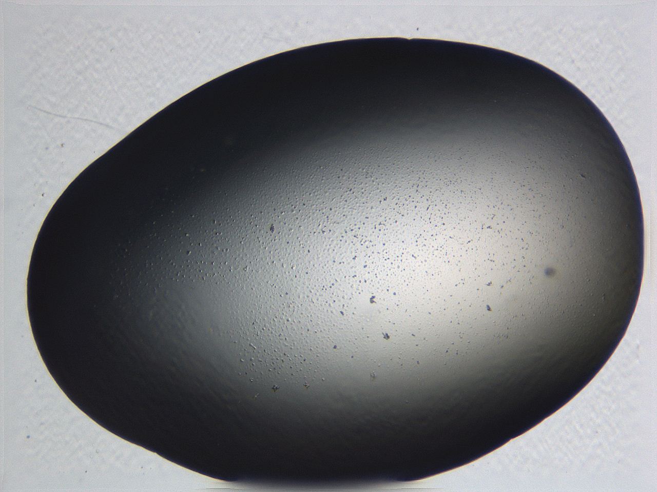 062i_D7_ImagerDefaults_0.jpg