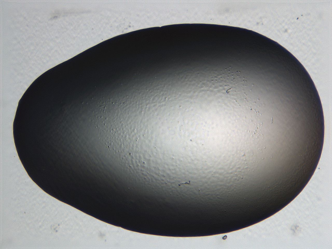 062i_D8_ImagerDefaults_0.jpg