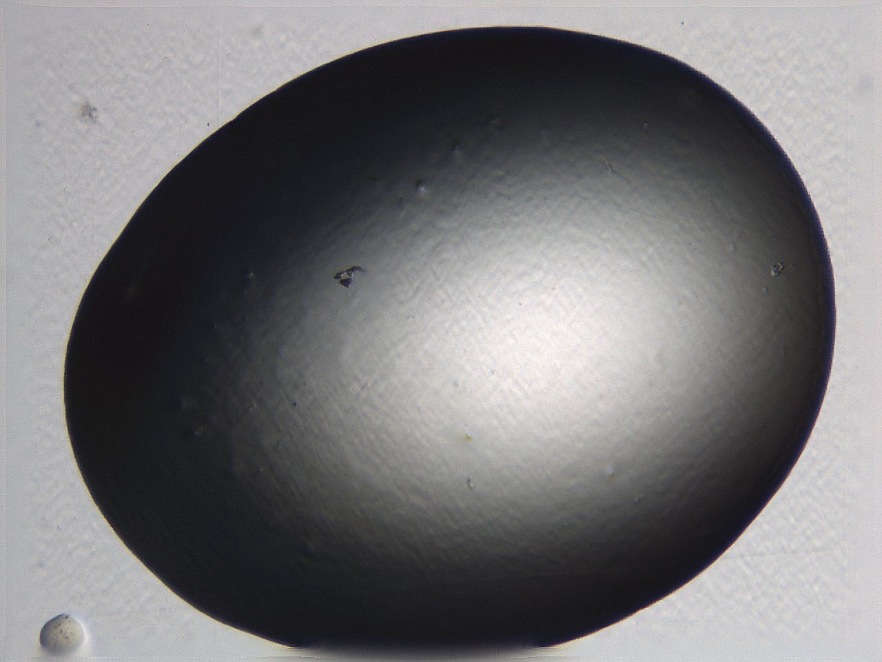062i_D10_ImagerDefaults_0.jpg