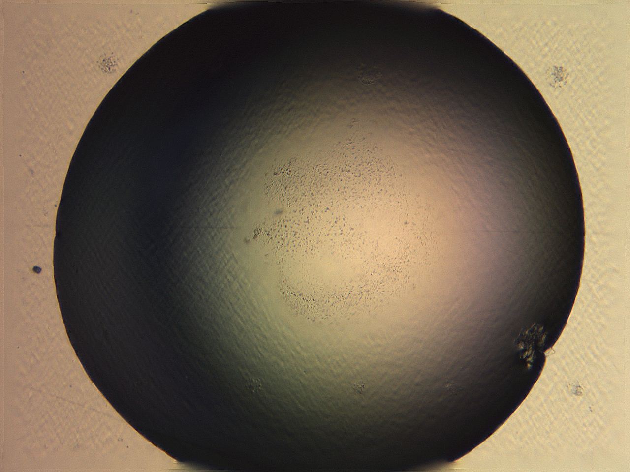 062i_D12_ImagerDefaults_0.jpg