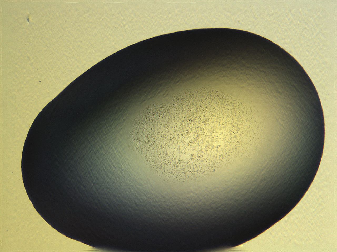 062i_E1_ImagerDefaults_3.jpg