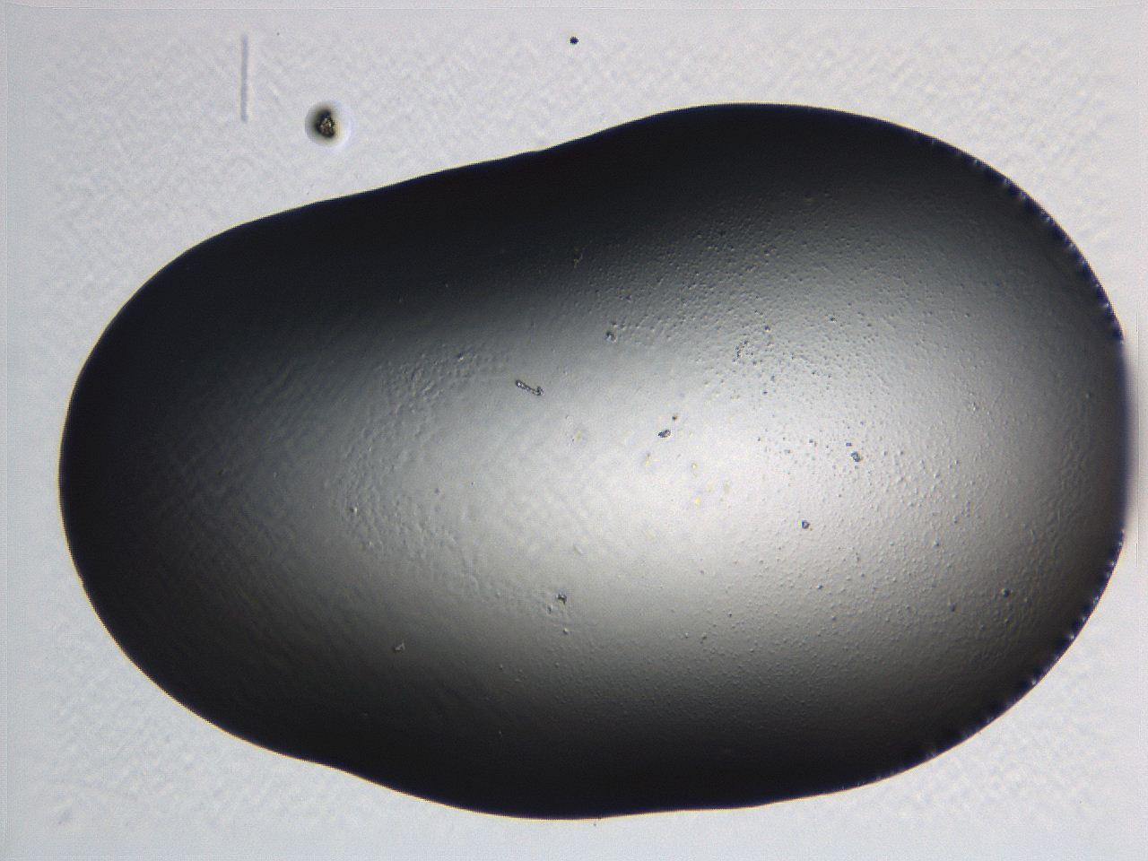 062i_E7_ImagerDefaults_0.jpg