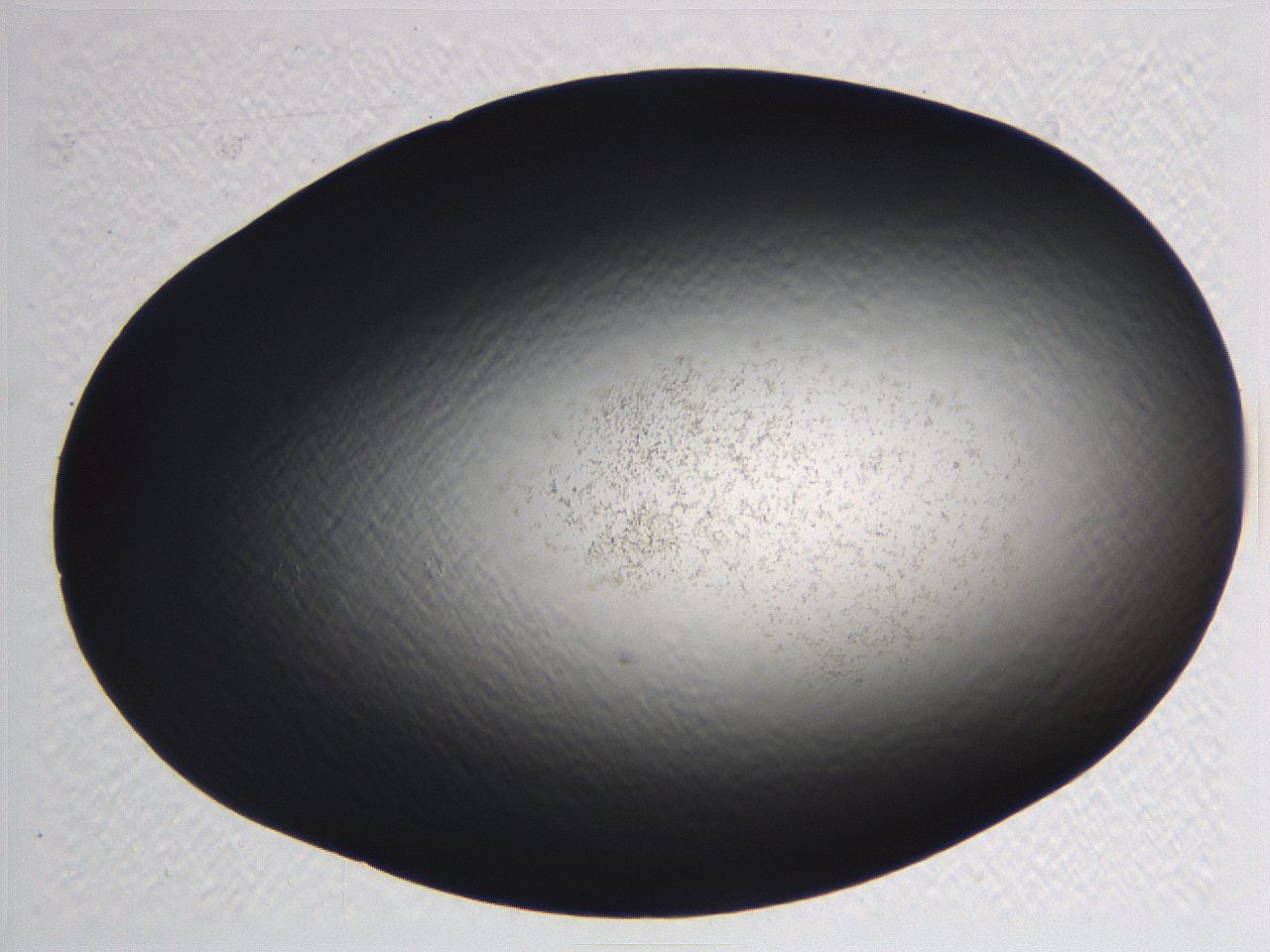 062i_E10_ImagerDefaults_3.jpg