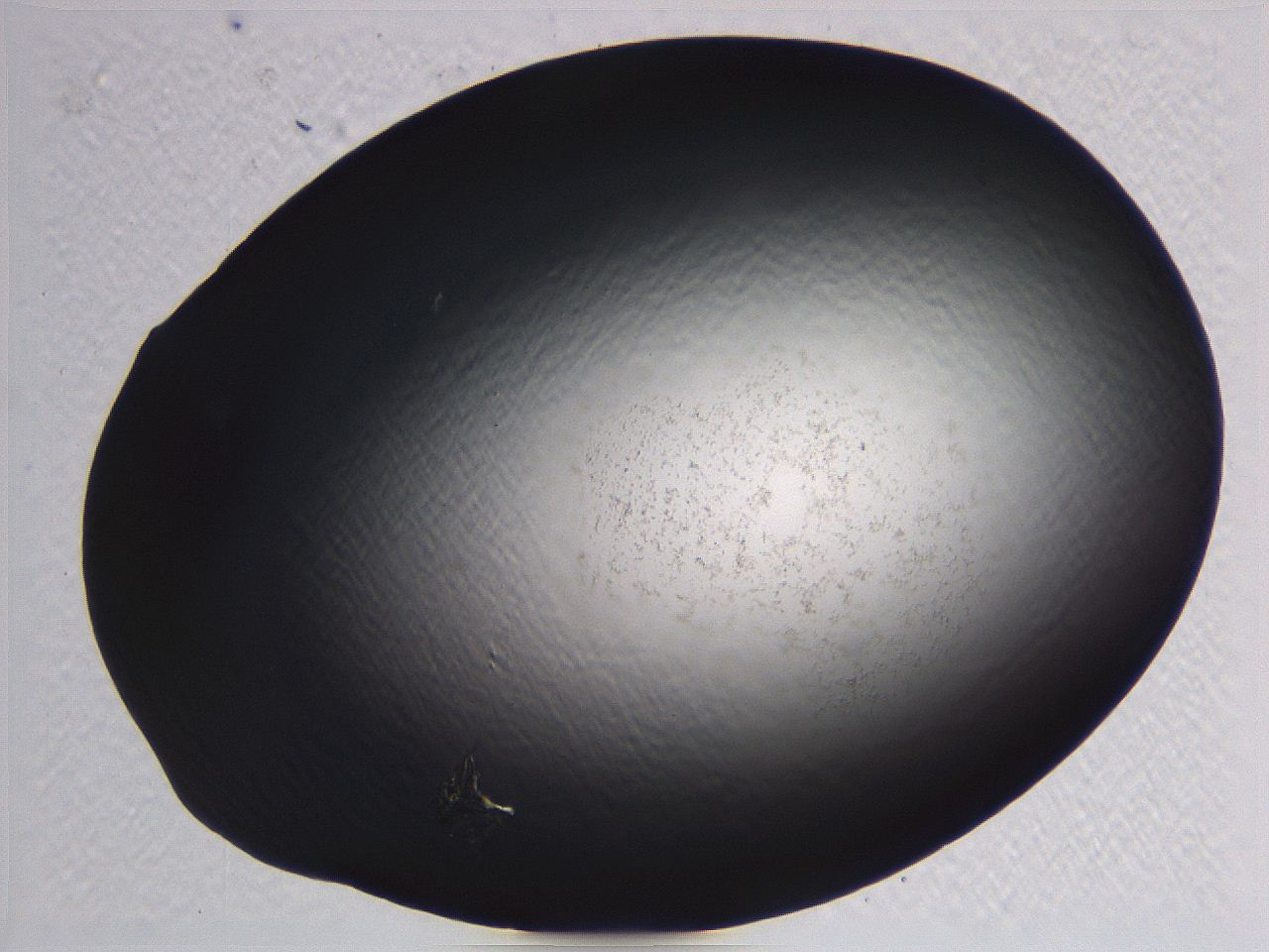062i_E11_ImagerDefaults_3.jpg