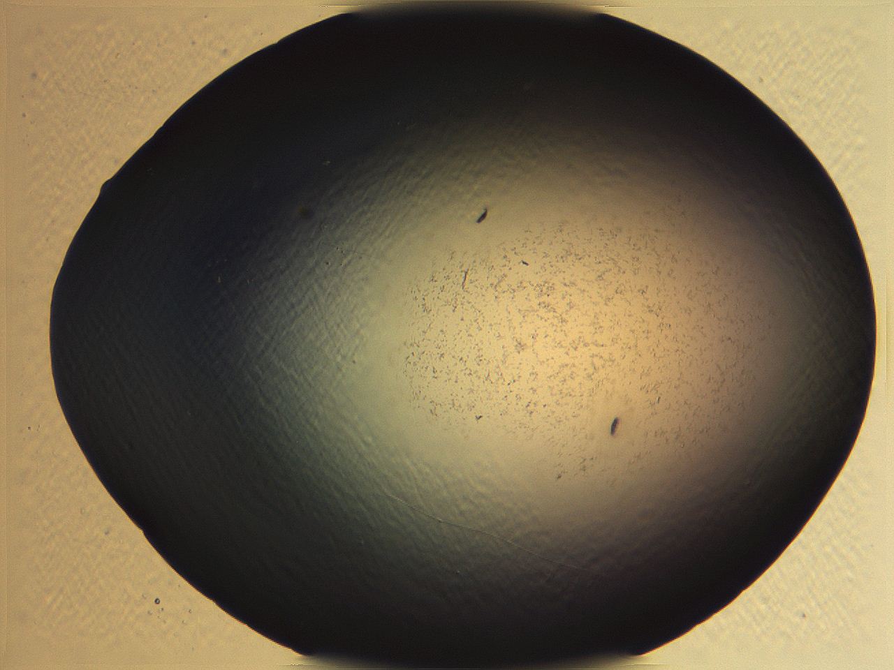 062i_E12_ImagerDefaults_3.jpg