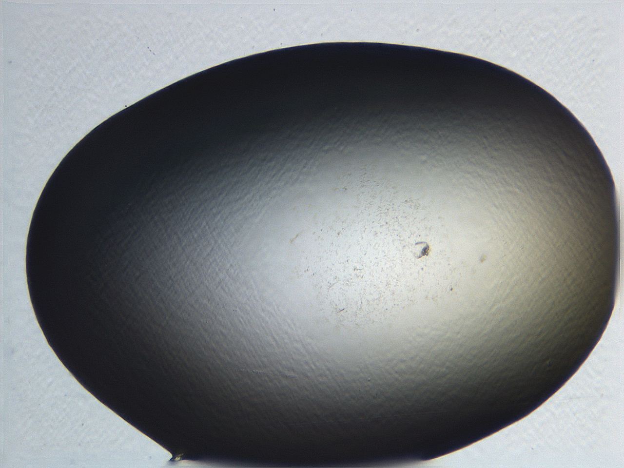 062i_F2_ImagerDefaults_0.jpg