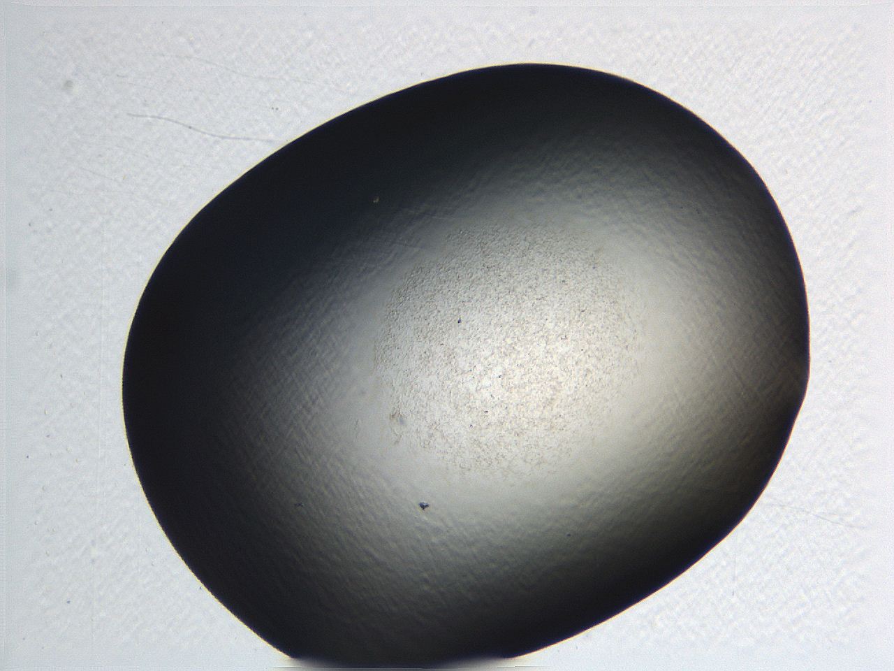 062i_F3_ImagerDefaults_3.jpg
