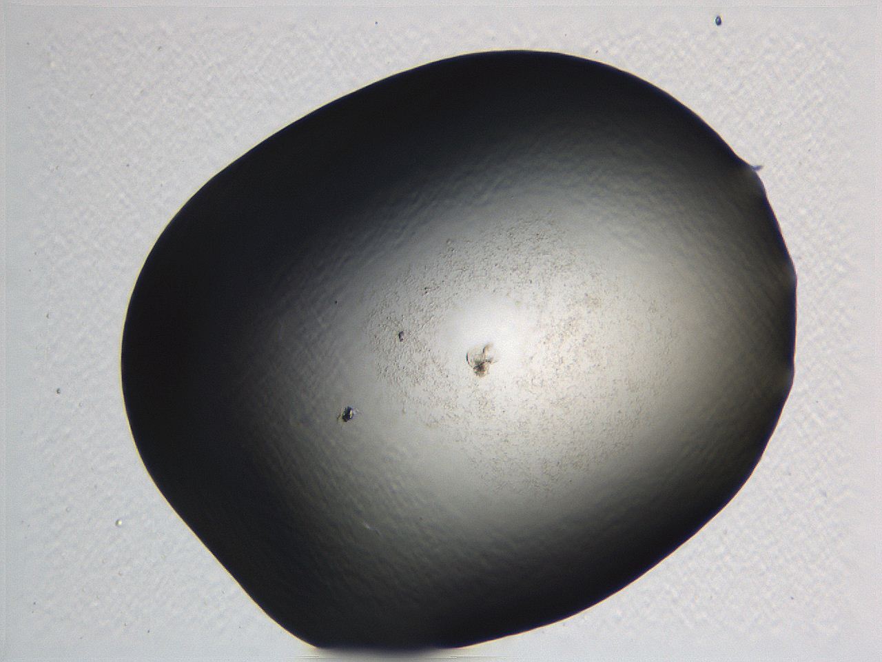 062i_F6_ImagerDefaults_3.jpg