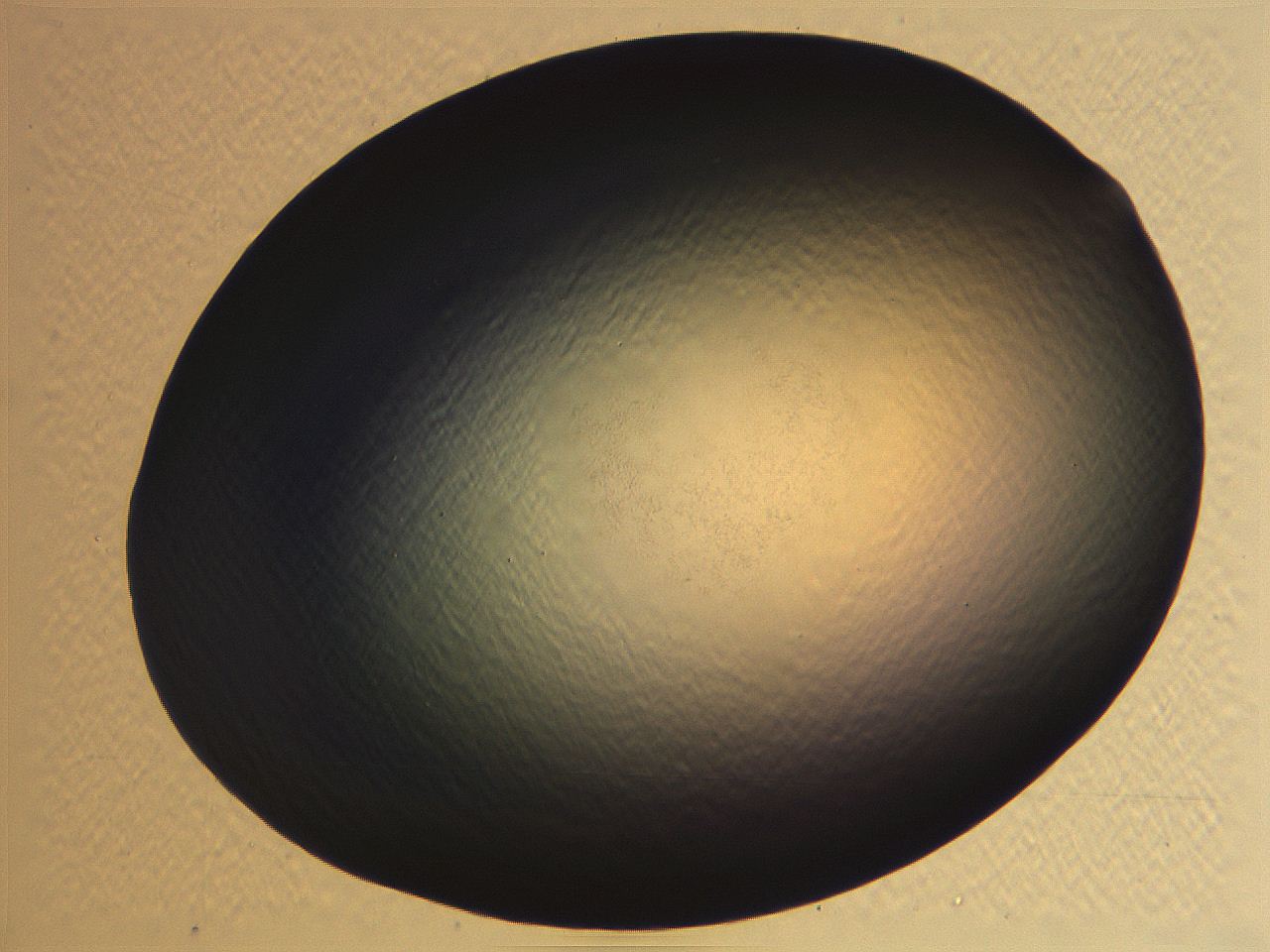 062i_F12_ImagerDefaults_0.jpg