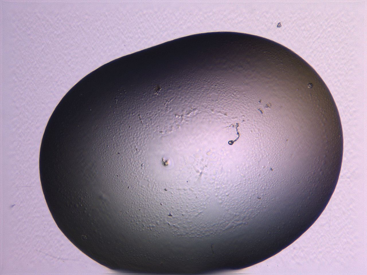 062i_G1_ImagerDefaults_0.jpg