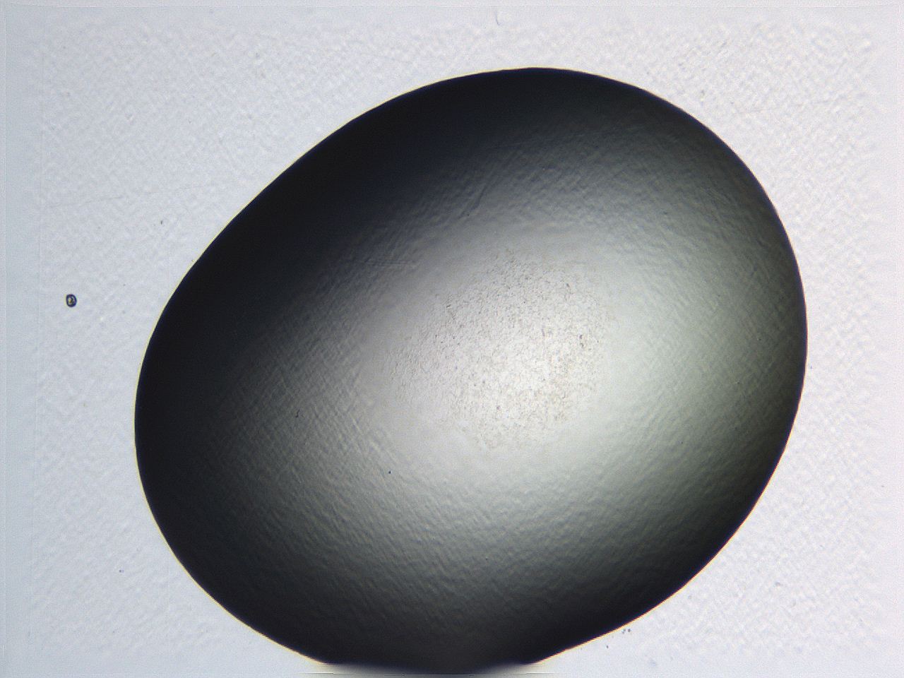 062i_G3_ImagerDefaults_0.jpg
