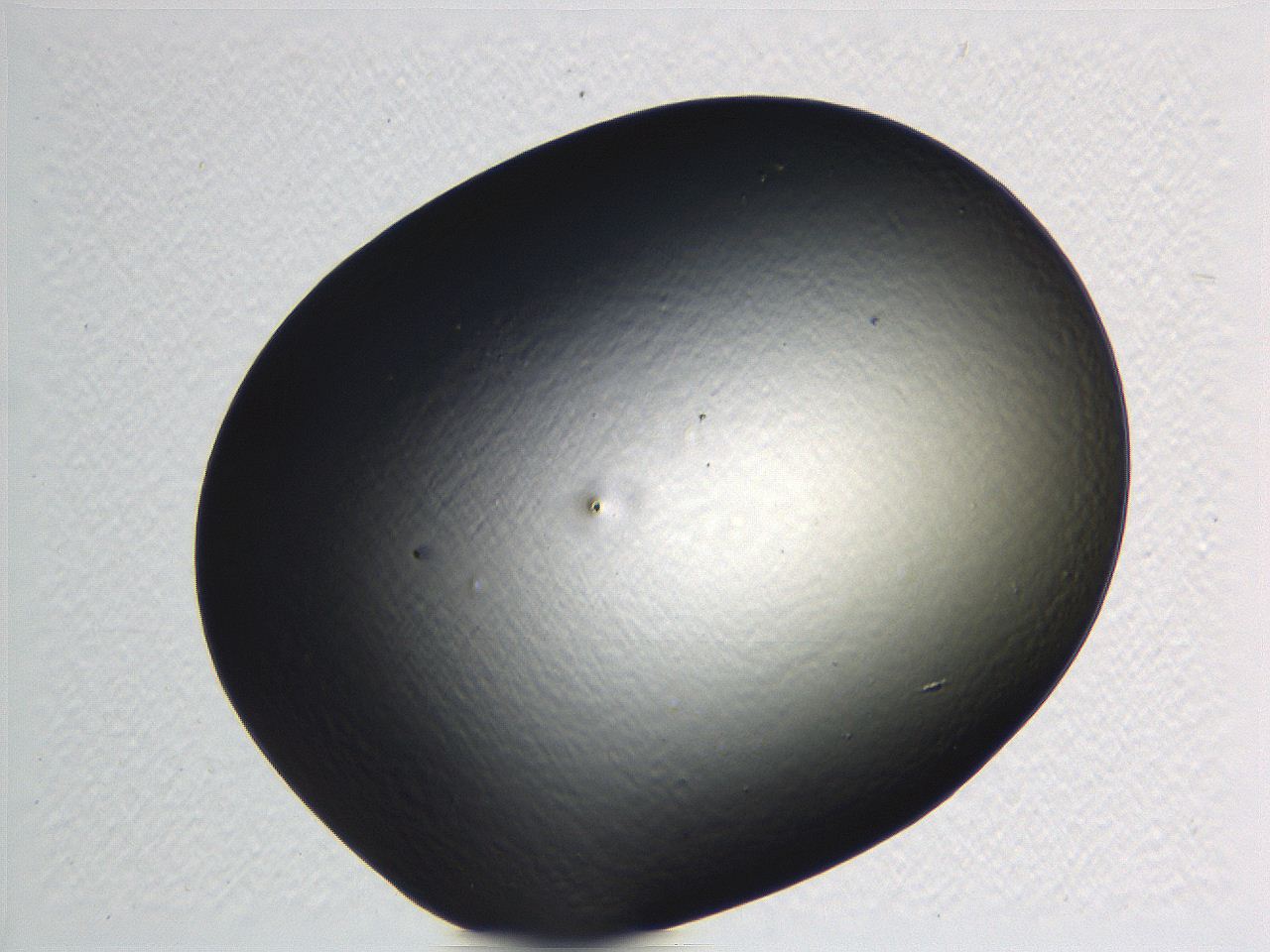 062i_G4_ImagerDefaults_0.jpg