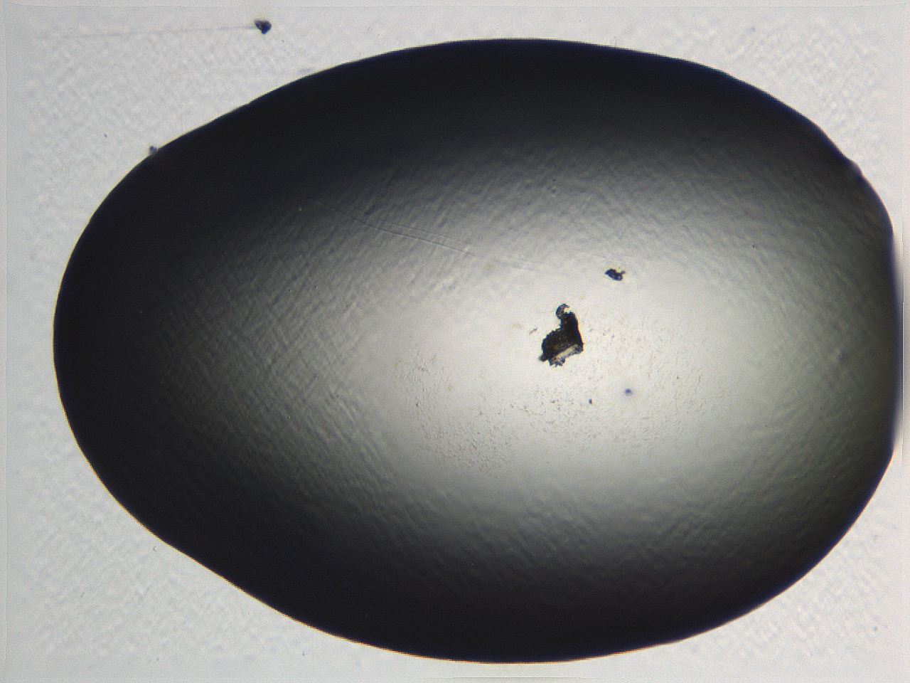 062i_G10_ImagerDefaults_0.jpg