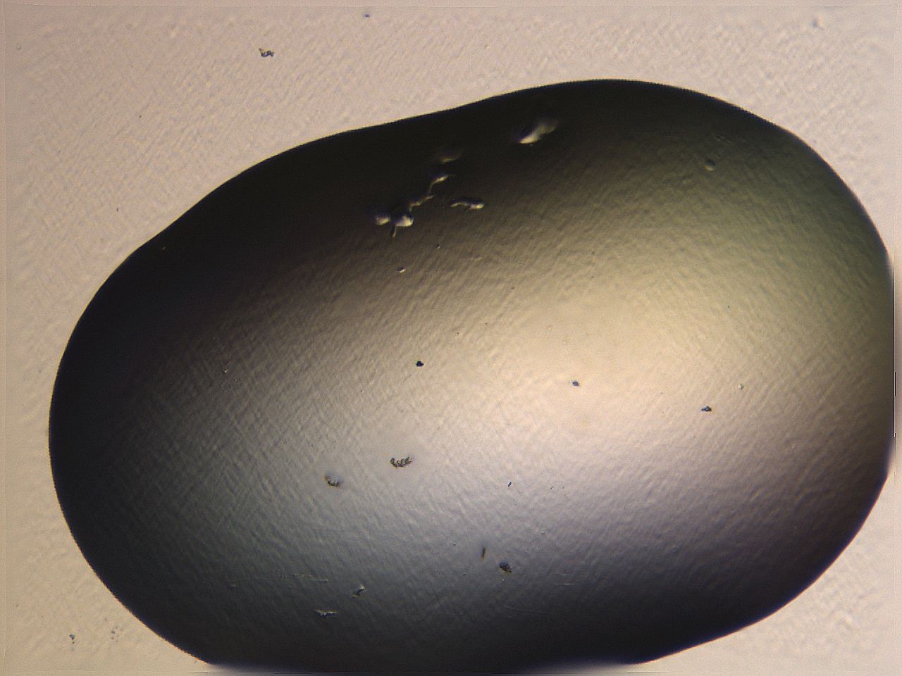 062i_H1_ImagerDefaults_0.jpg