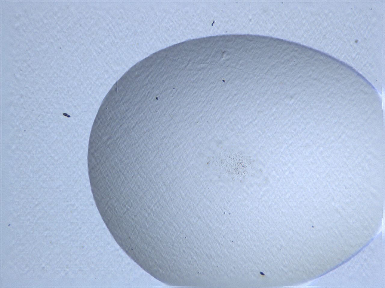 062i_H4_ImagerDefaults_0.jpg