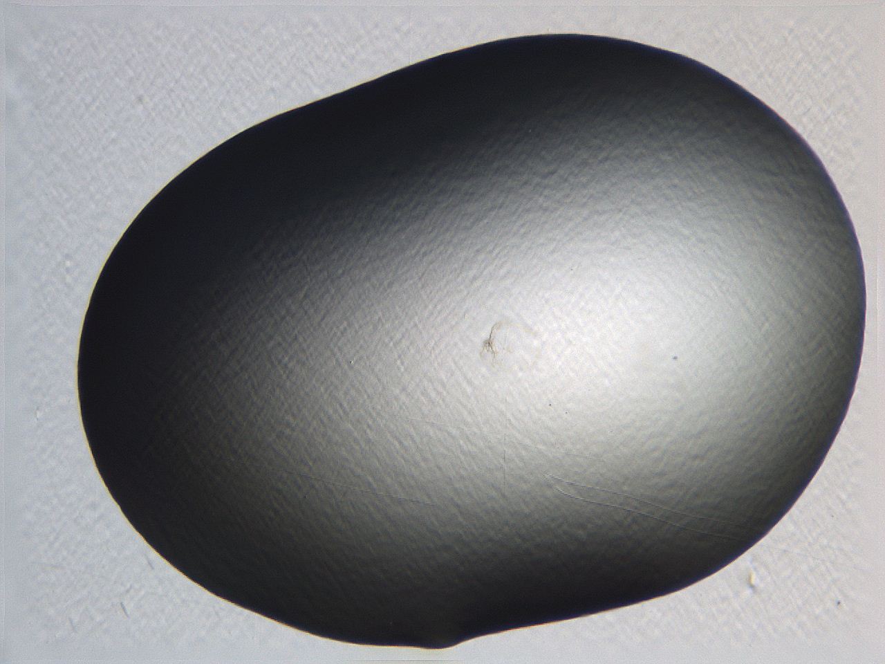 062i_H10_ImagerDefaults_0.jpg