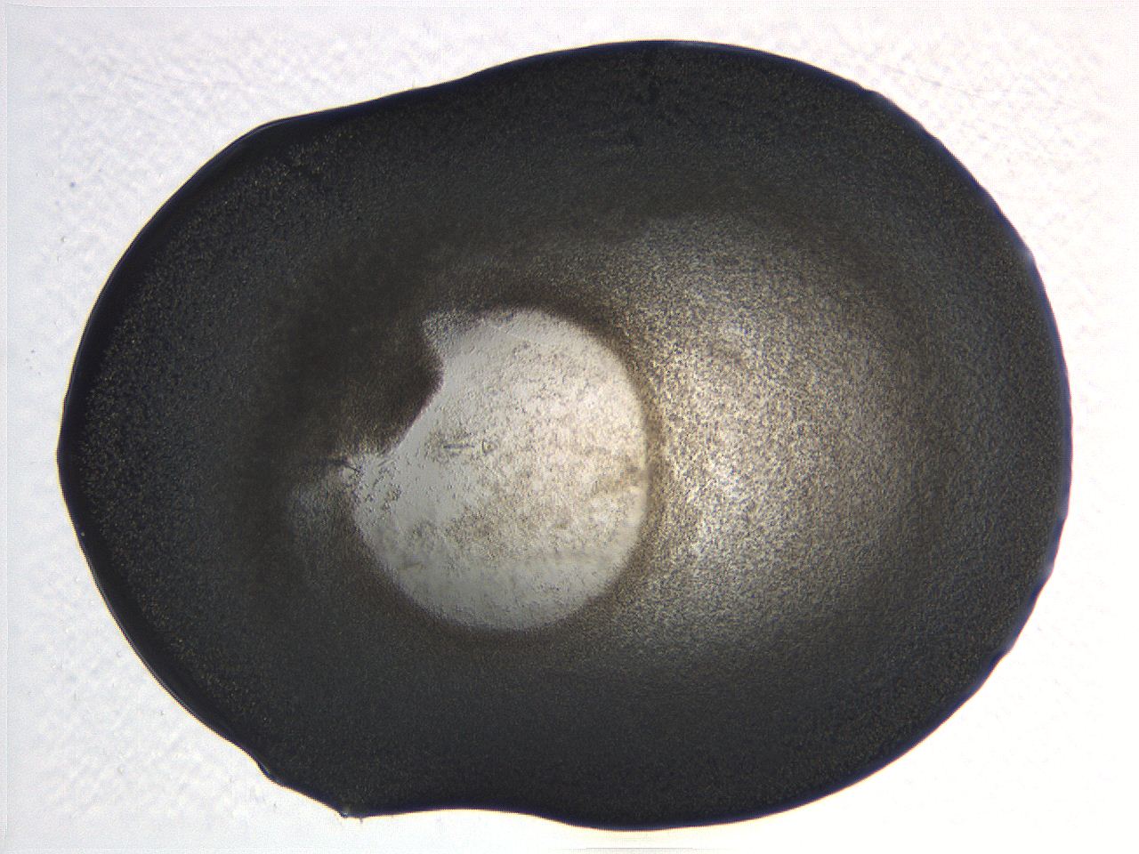 062j_C11_ImagerDefaults_3.jpg