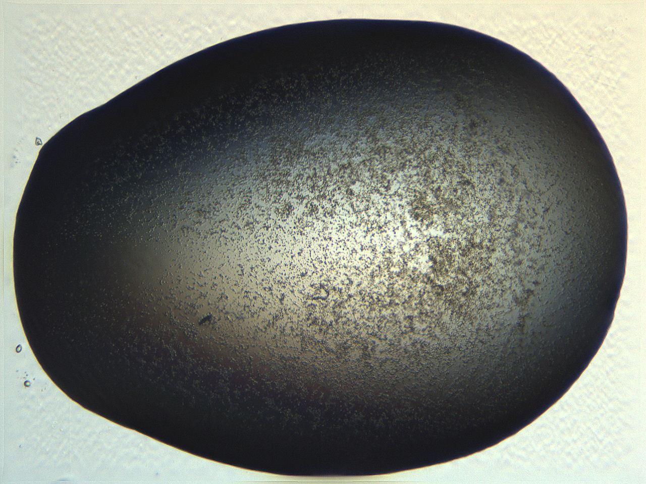 062j_C12_ImagerDefaults_3.jpg
