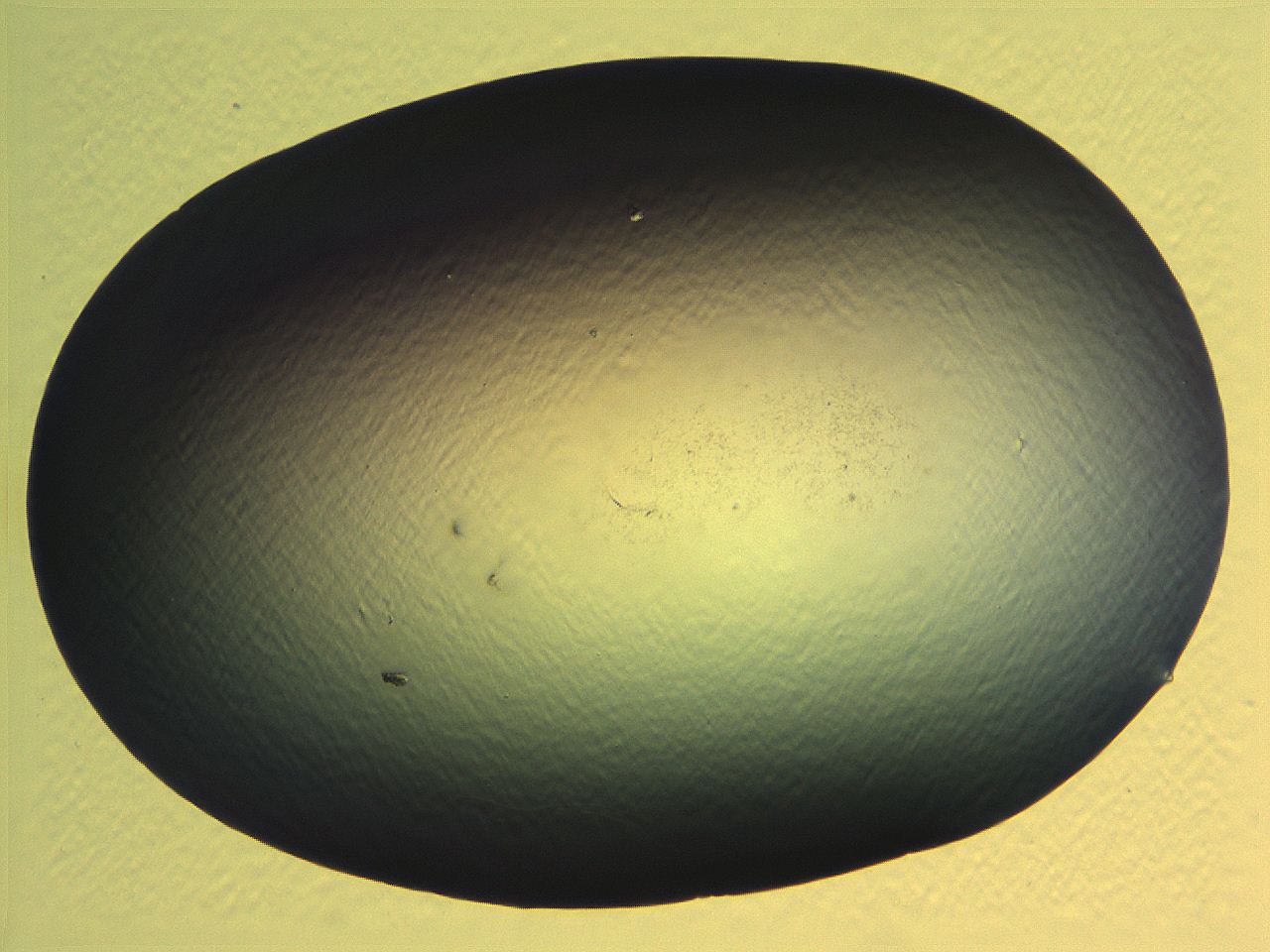 062j_D1_ImagerDefaults_0.jpg