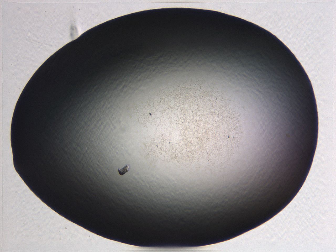062j_D3_ImagerDefaults_3.jpg
