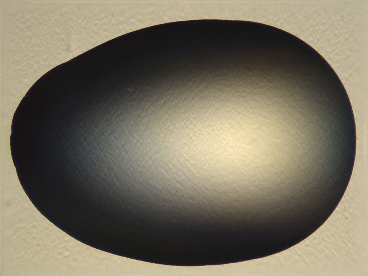 062j_C6_ImagerDefaults_0.jpg