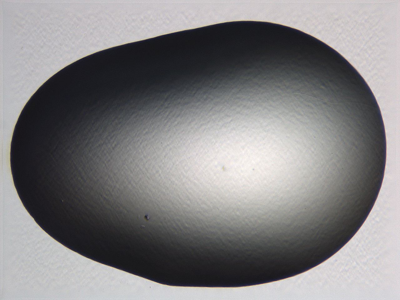 062j_C4_ImagerDefaults_0.jpg