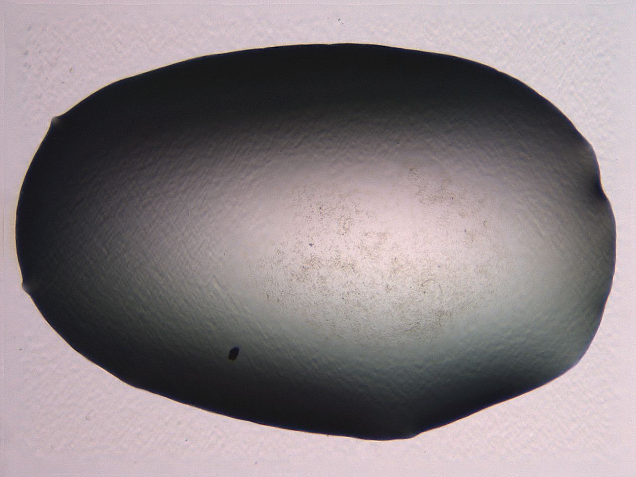 062j_C2_ImagerDefaults_3.jpg