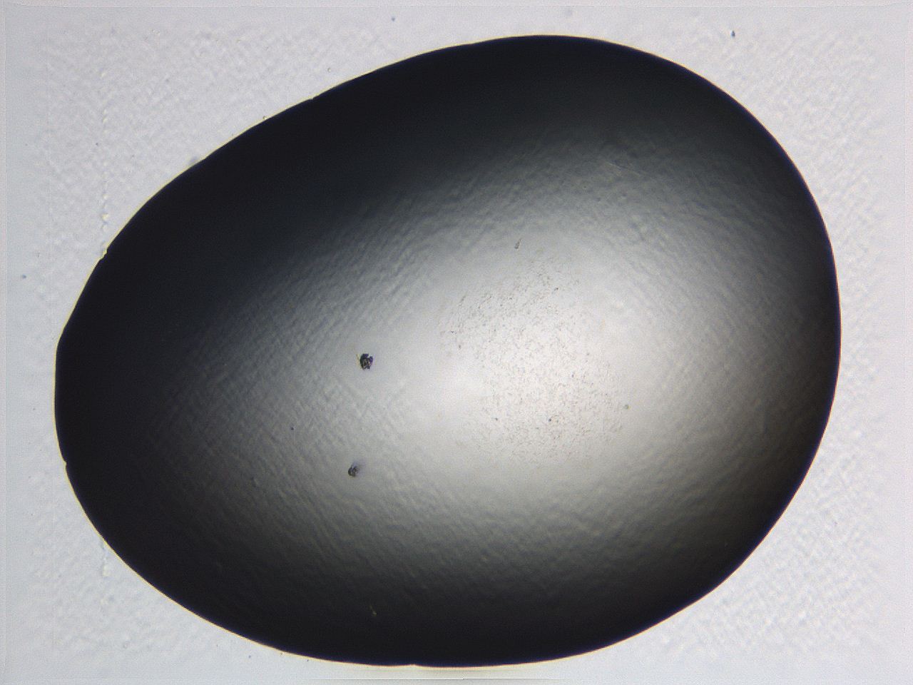 062j_D4_ImagerDefaults_0.jpg