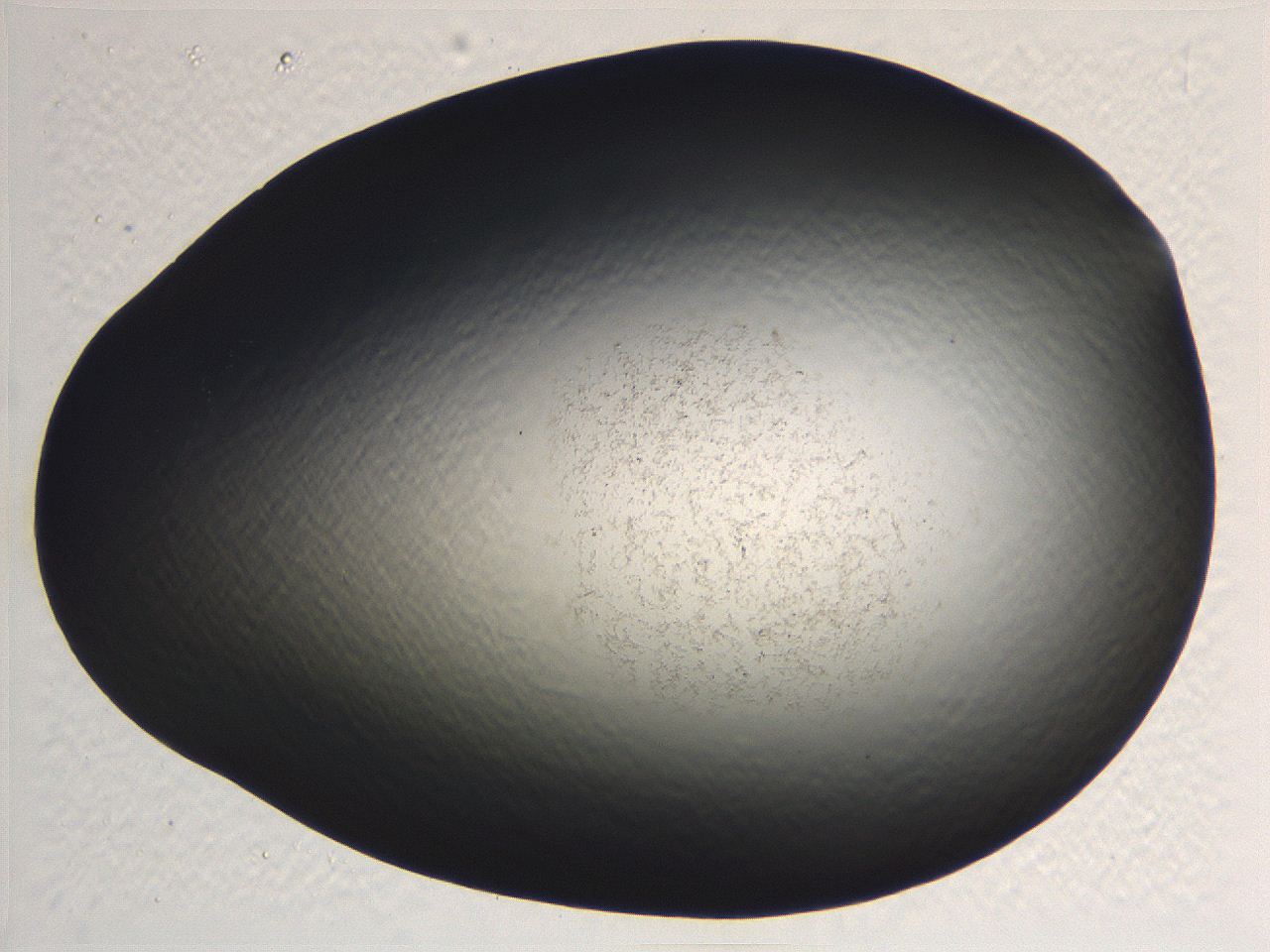 062j_D5_ImagerDefaults_0.jpg