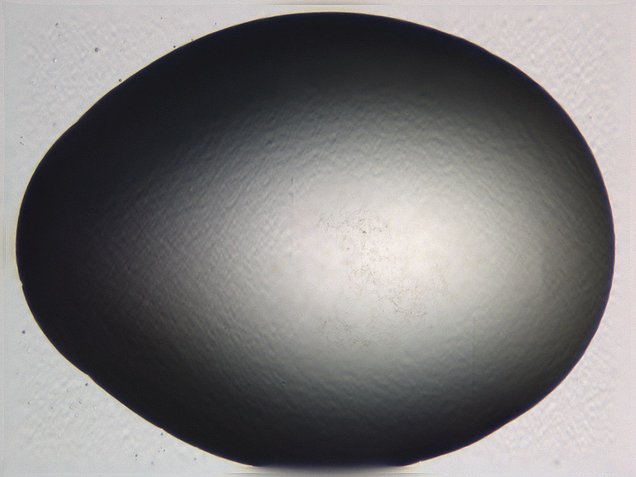 062j_D6_ImagerDefaults_0.jpg