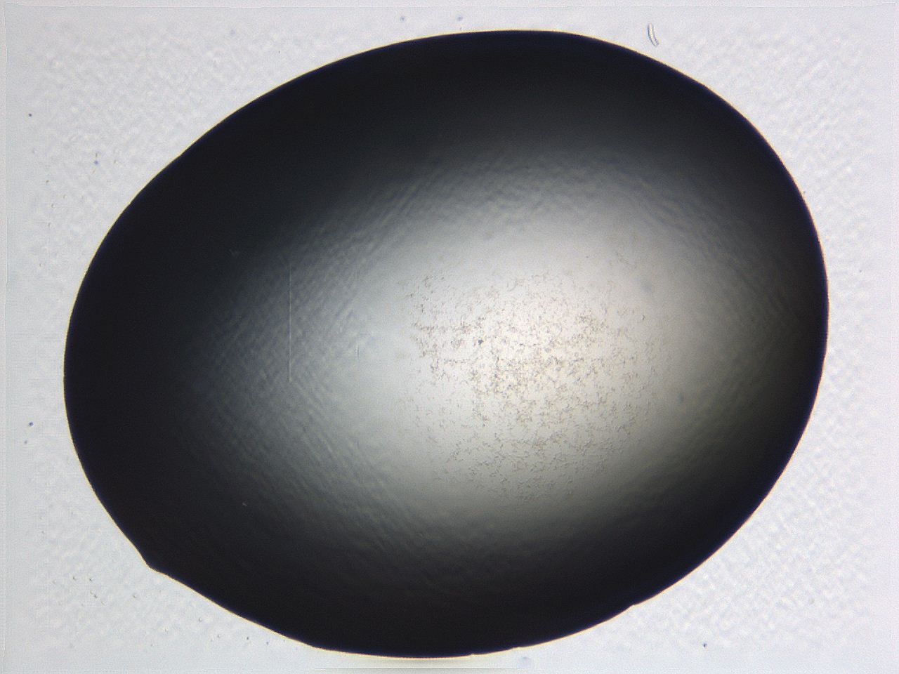 062j_D7_ImagerDefaults_0.jpg
