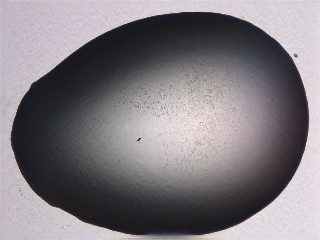 062j_C9_ImagerDefaults_3.jpg
