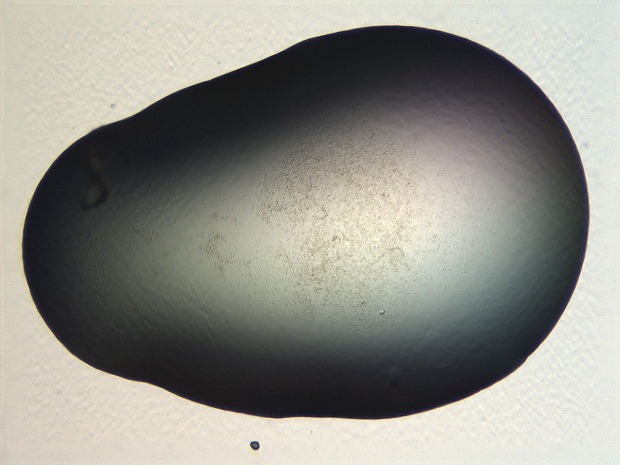 062j_C8_ImagerDefaults_3.jpg