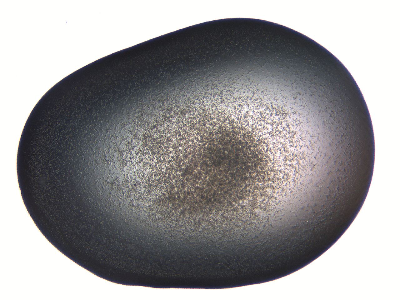 062j_D9_ImagerDefaults_3.jpg