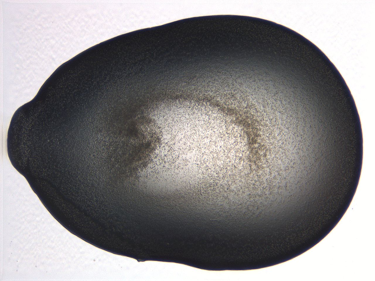 062j_D10_ImagerDefaults_3.jpg