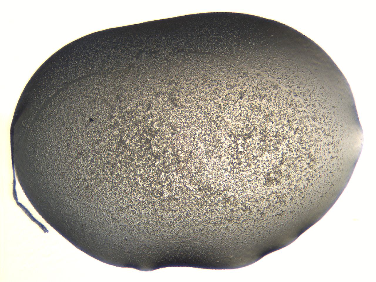 062j_B1_ImagerDefaults_3.jpg