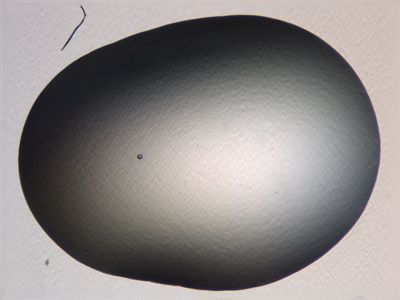 062j_B2_ImagerDefaults_0.jpg