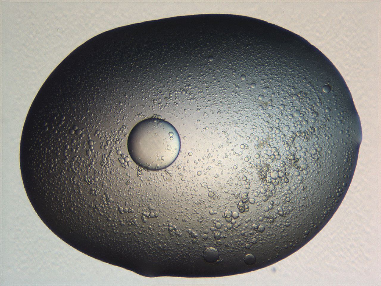 062j_A4_ImagerDefaults_5.jpg