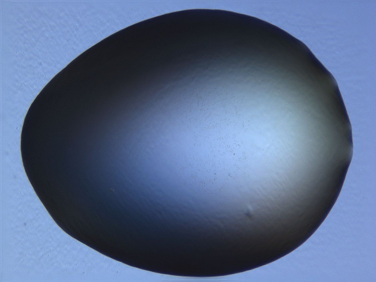 062j_B6_ImagerDefaults_0.jpg