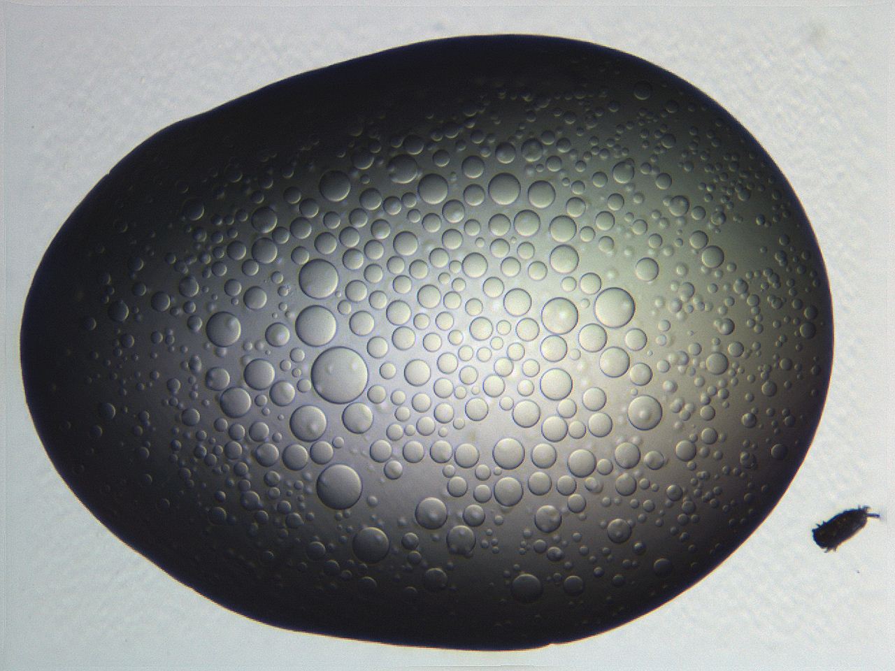 062j_B9_ImagerDefaults_5.jpg