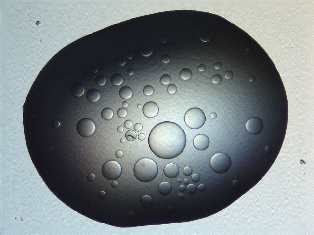 062j_A1_ImagerDefaults_5.jpg