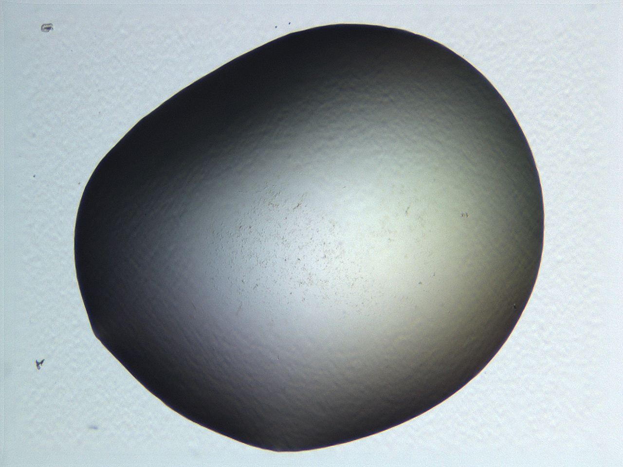 062j_B3_ImagerDefaults_0.jpg
