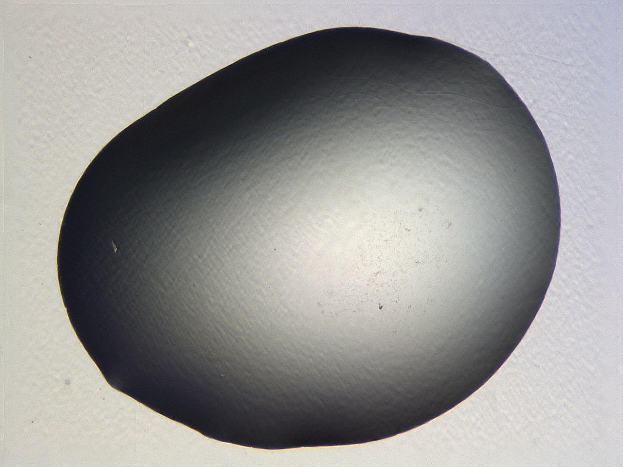 062j_B4_ImagerDefaults_0.jpg
