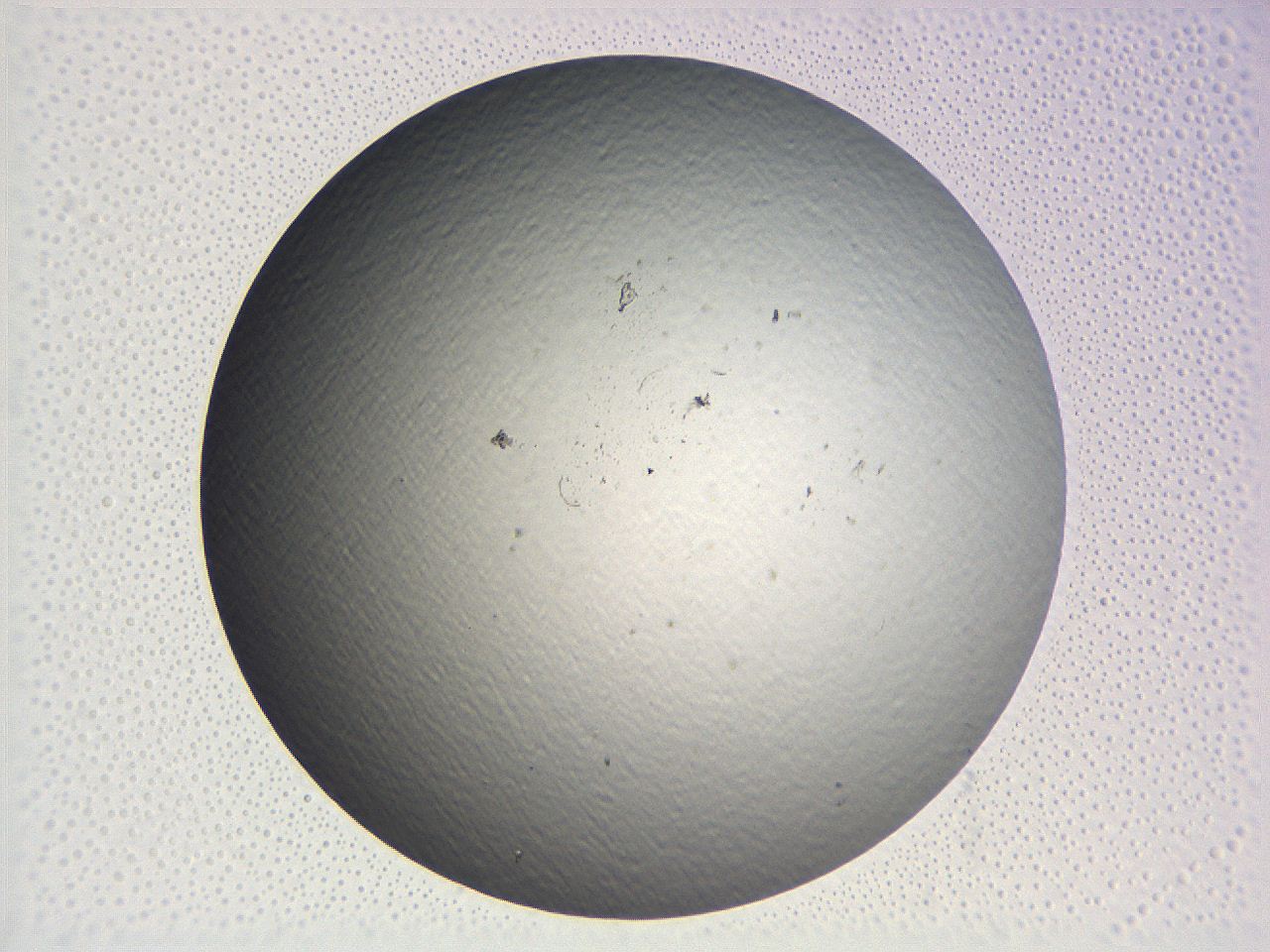 062j_B10_ImagerDefaults_0.jpg